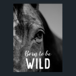 Póster Nacido para ser salvaje negro y blanco cerca del o<br><div class="desc">Arte de Cabeza de Caballo - Cara de caballo - Fotografía de arte animal moderno</div>