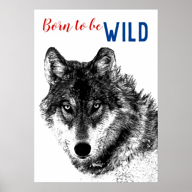 Póster Nacido para ser salvaje y motivacional Lobo Blanco (Frente)