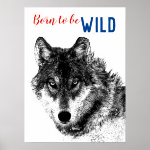 Póster Nacido para ser salvaje y motivacional Lobo Blanco