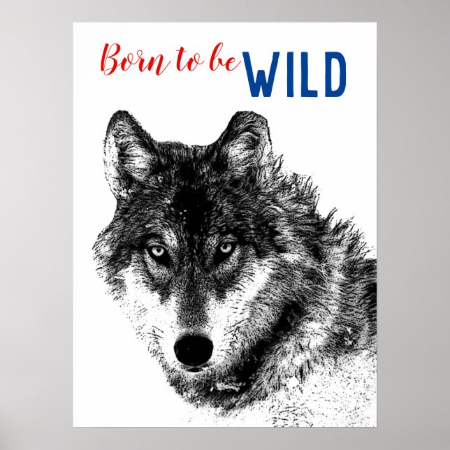 Póster Nacido para ser salvaje y motivacional Lobo Blanco (Frente)