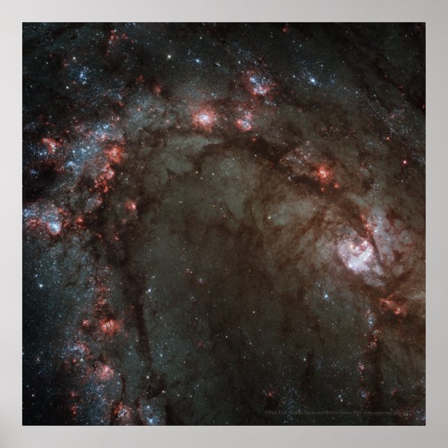 Póster Nacimiento estelar en el detalle de galaxia M83 12 (Frente)