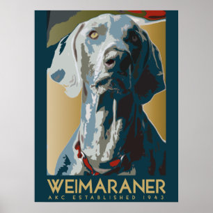 Póster Nación de Weimaraner: AKC Weimaraner