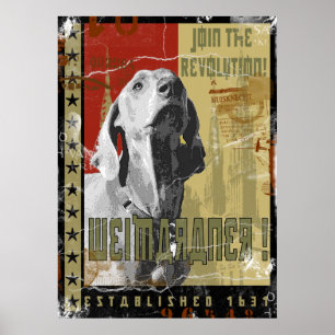 Póster Nación de Weimaraner : Weimaraner Vintage