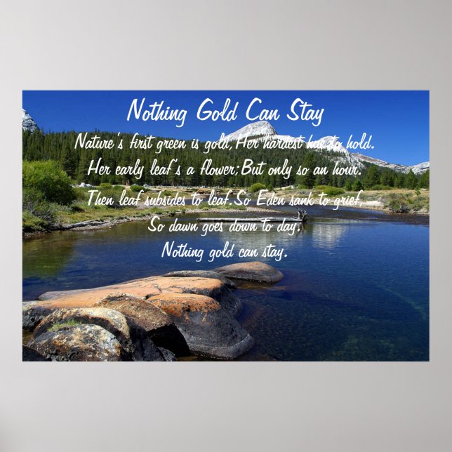 Póster Nada de oro puede quedarse Poster 5 (Frente)