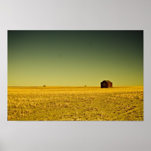 Póster nada dorado (Frente)