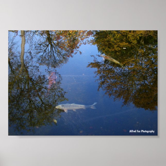 Póster Nadando en el Cielo (Frente)
