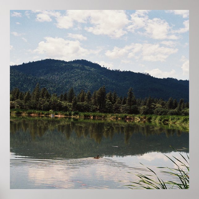 Póster Nadando solo..... (Frente)