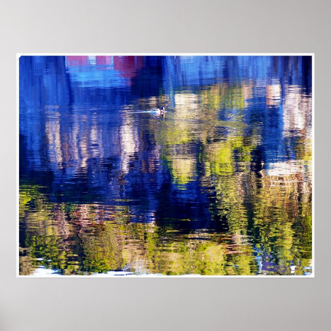 Póster nadar en color (Frente)