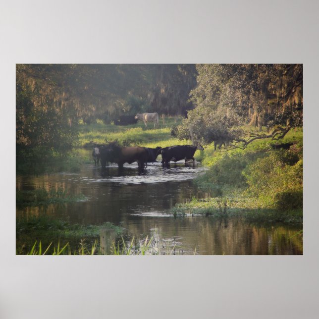 Póster Nado temprano (Frente)