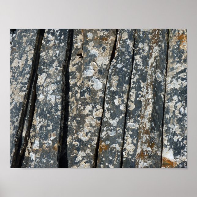 Póster naissains sur schiste (Frente)