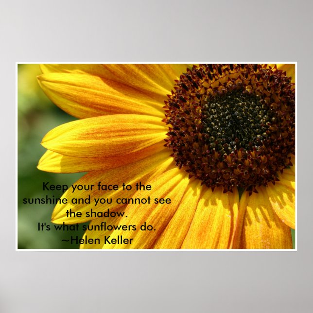 Póster Nancys_sunflower (Frente)