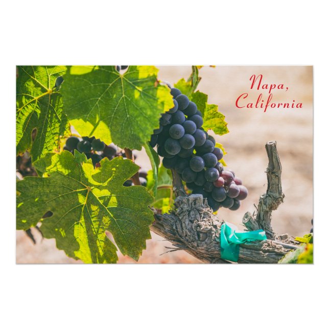 Póster Napa, California (Anverso)