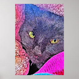 Póster Napoleón en una manta