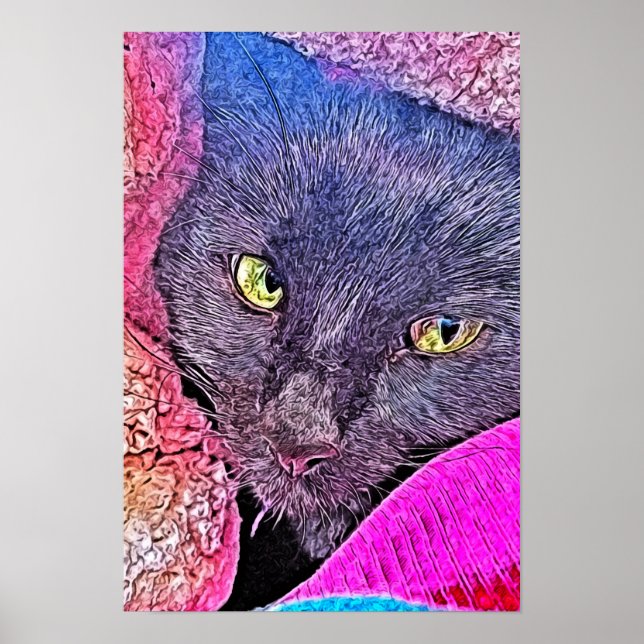 Póster Napoleón en una manta (Frente)