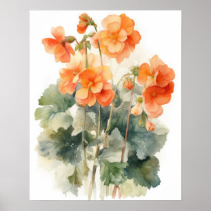 Póster Naranja Begonia Flowers Art Print Poster
