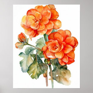 Póster Naranja Begonia Flowers Art Print Poster
