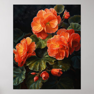 Póster Naranja Begonia Flowers Art Print Poster
