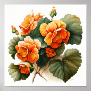 Póster Naranja Begonias Flower Art Print Poster