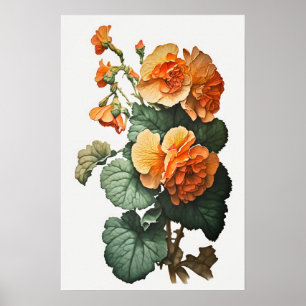 Póster Naranja Begonias Flower Art Print Poster