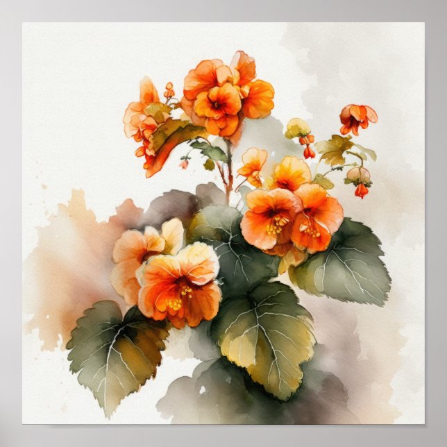 Póster Naranja Begonias Flower Art Print Poster (Frente)