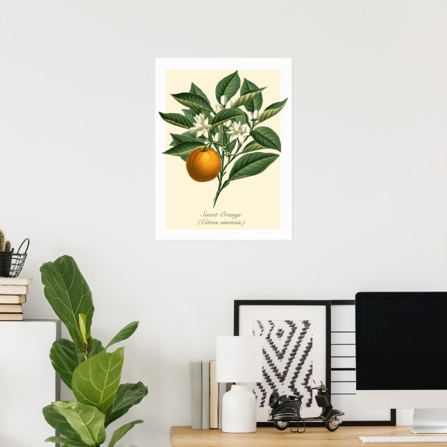 Póster Naranja botánico Vintage Hojas de flores (Oficina en casa)