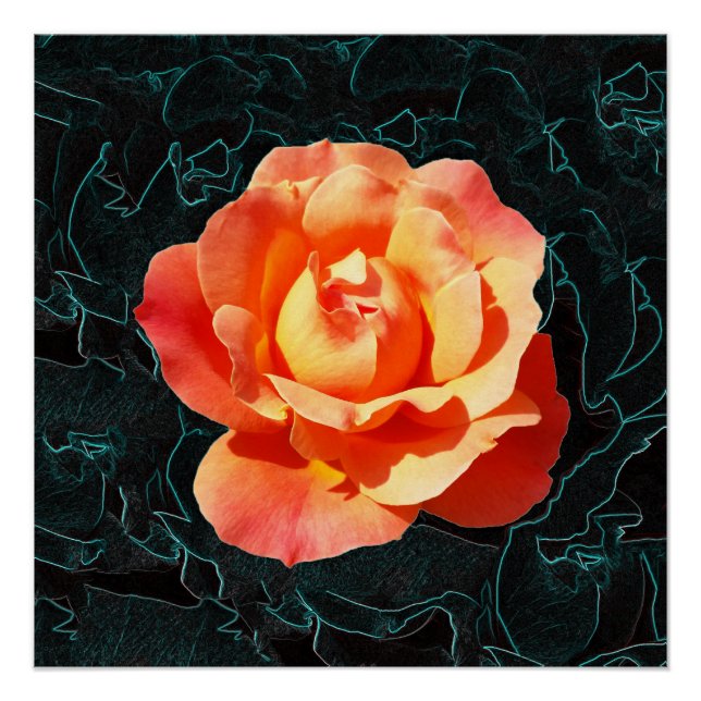 Póster Naranja brillante rosa (Anverso)