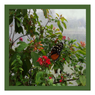 PÓSTER NARANJA BUTTERFLY