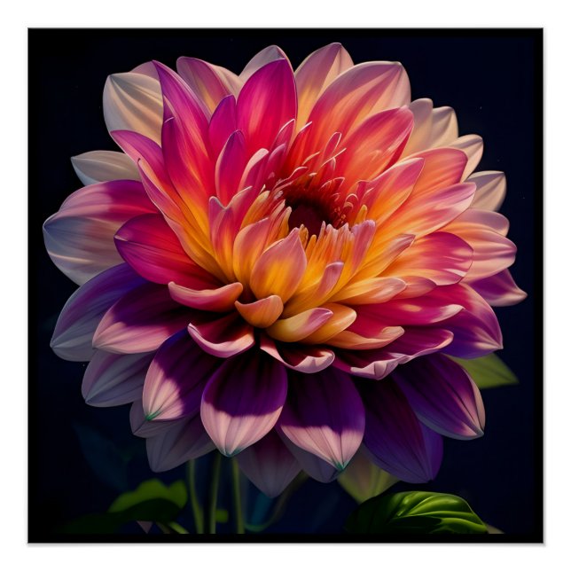 Póster Naranja caliente y flor de Dahlia rosa (Anverso)