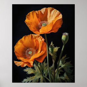 Póster Naranja California Poppy Flowers Art Print Poster