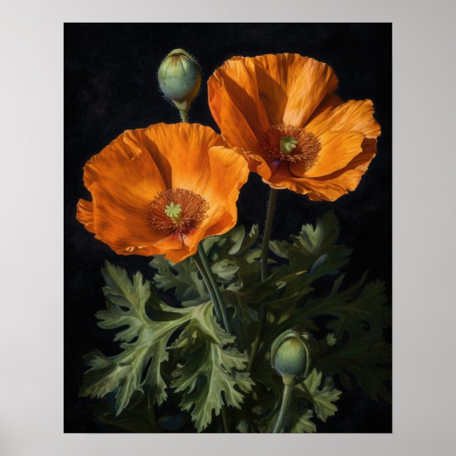 Póster Naranja California Poppy Flowers Art Print Poster (Frente)