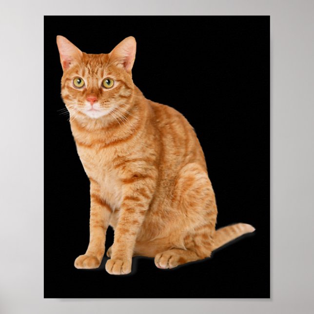 Póster Naranja Cat Tab Funny Cat Parody Cat Lover Gift Ki (Frente)