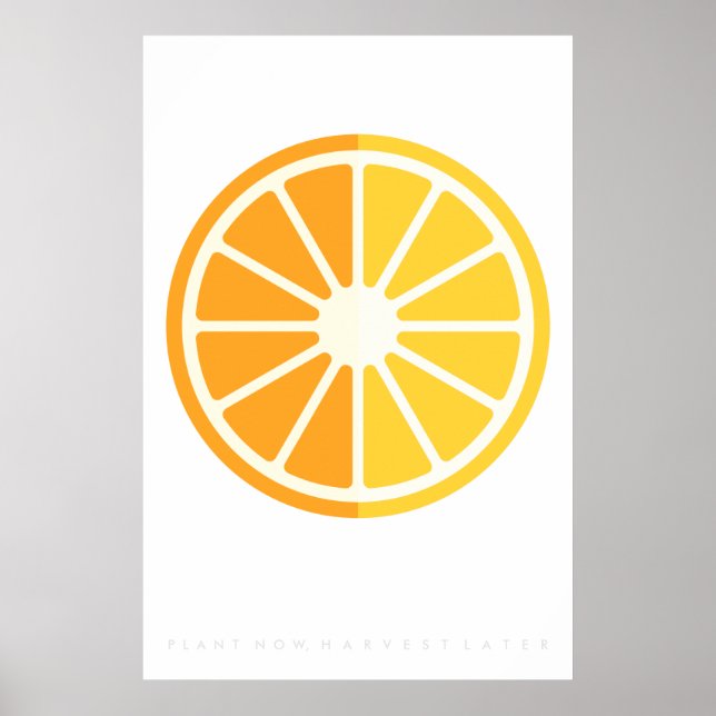 Póster Naranja Citrus Retro Fruit Poster 60 (Frente)