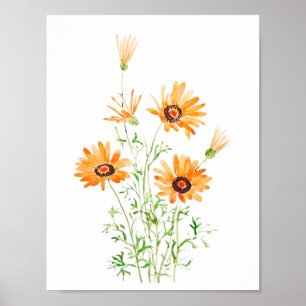 Póster naranja colorido de margarita salvaje pintado a ma
