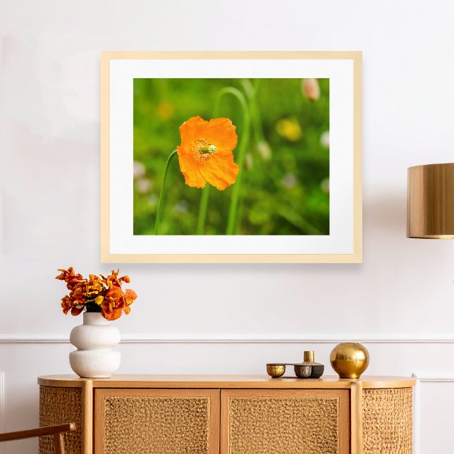 Póster Naranja Con Adormidera Floreciendo Flor De Verano  (Please note: This image is a digital mockup. The product may not be in scale.)