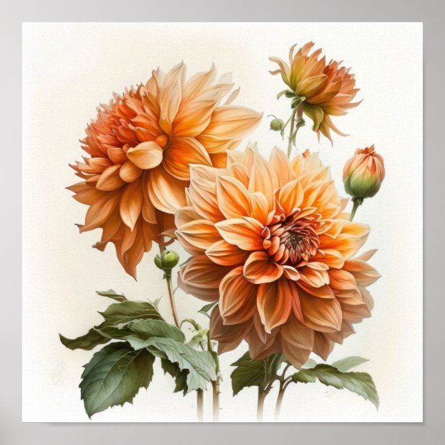 Póster Naranja Dahlias Flower Art Print Poster (Frente)