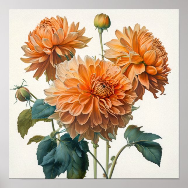 Póster Naranja Dahlias Flower Art Print Poster (Frente)