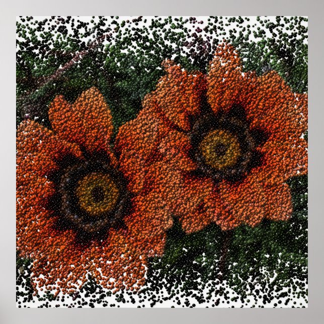 Póster Naranja Daisy Balls Poster (Frente)