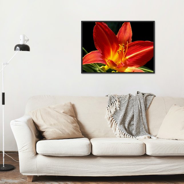 Póster Naranja Daylily Bloom Photo Glossy (In Situ)