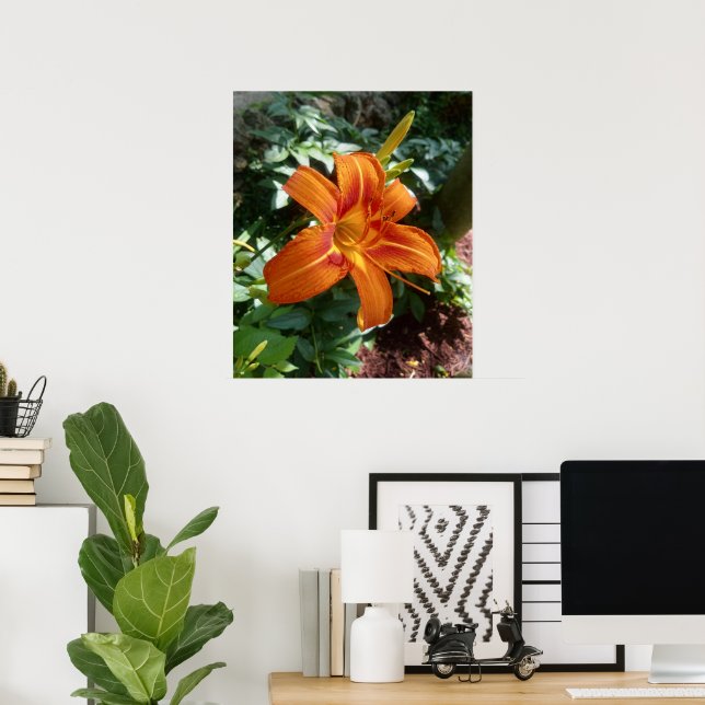 Póster Naranja Daylily Flower Photo Print (Oficina en casa)