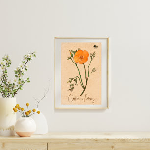Póster Naranja de amapola Flor Flor silvestre