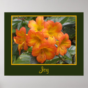 Póster Naranja de Meditación Joy Zen Flores Foto Templari