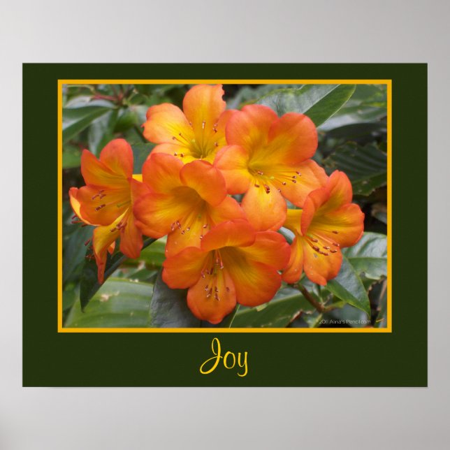 Póster Naranja de Meditación Joy Zen Flores Foto Templari (Frente)