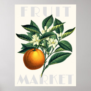 Póster Naranja de mercado de frutas retro moderno florece