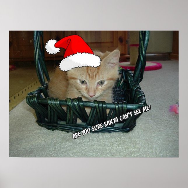 Póster Naranja de navidades Tabby Kitten (Frente)