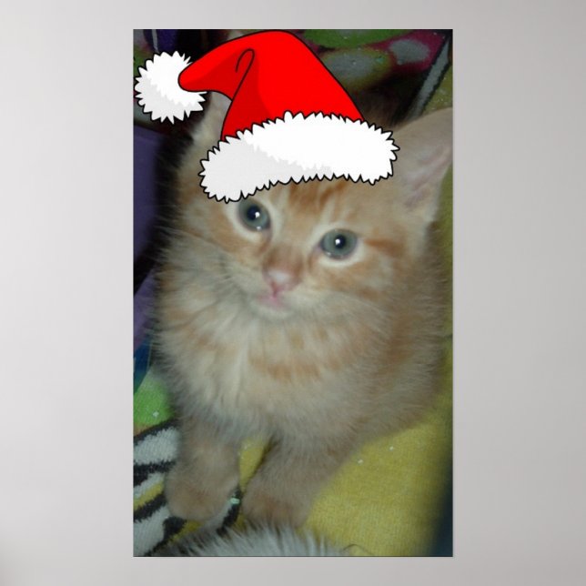 Póster Naranja de navidades Tabby Kitten (Frente)