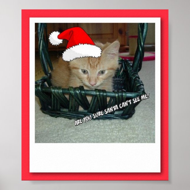 Póster Naranja de navidades Tabby Kitty Cat (Frente)