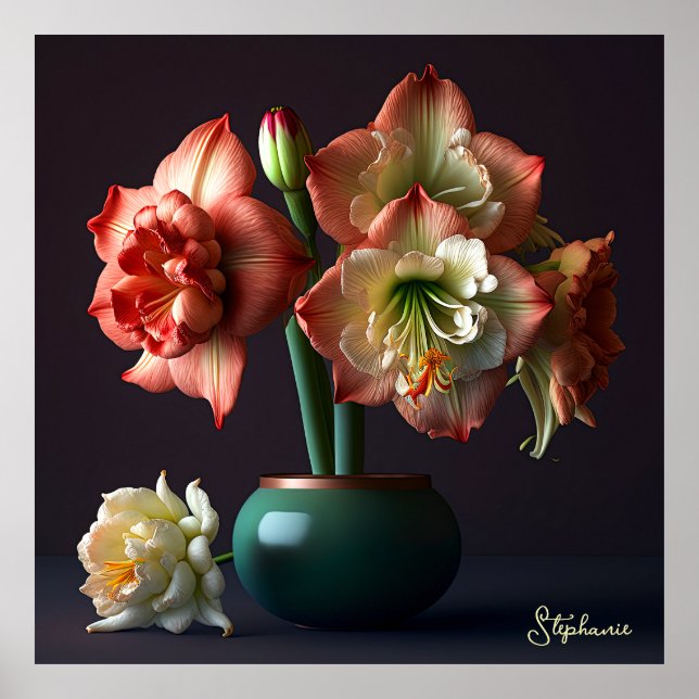 Póster Naranja elegante Flor blanca Amaryllis (Frente)