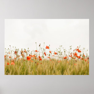 PÓSTER NARANJA FLOWERS