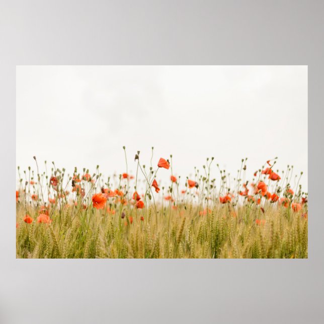 PÓSTER NARANJA FLOWERS (Frente)