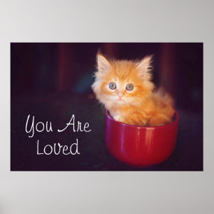 Póster Naranja Gatito En Una Mug Roja